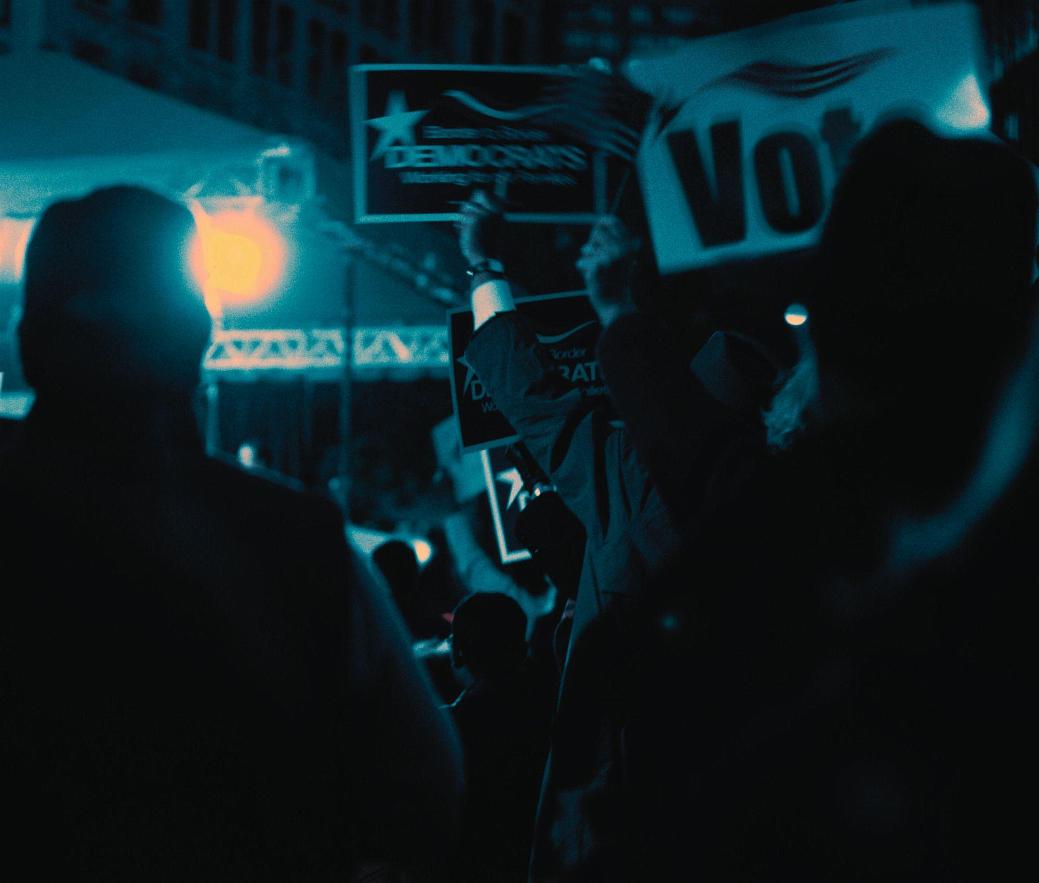 Political Details VIII